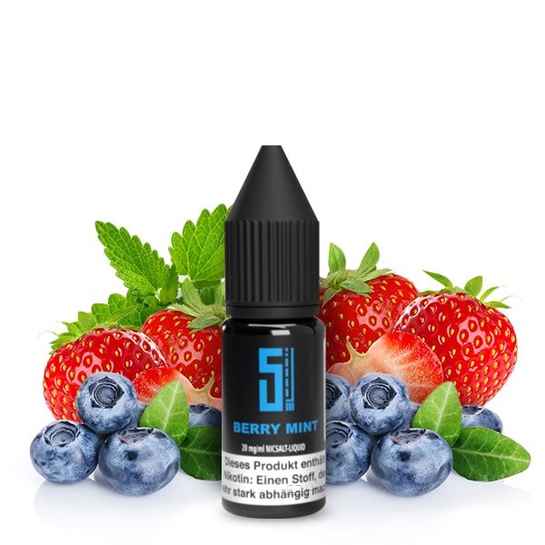 5 EL Berry Mint Nikotinsalz Liquid 10ml